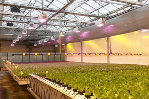 Heliospectra utvecklar belysningssystem för växthus. Systemen baseras på LED-teknik och kan kompletteras med olika sensorer som ger utökad funktionalitet.