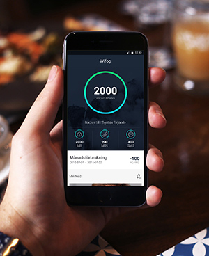 Wifog erbjuder reklamfinansierad mobilsurf och telefoni.