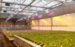 Heliospectra uppskattar att det finns 55 miljoner armaturer installerade i växthus världen över, Kina ej medräknat. Med en utbytestakt på 3 år uppskattas den adressbara marknaden för enbart växthus till 5 - 11 miljoner armaturer per år, motsvarande 38 - 77 miljarder kronor.